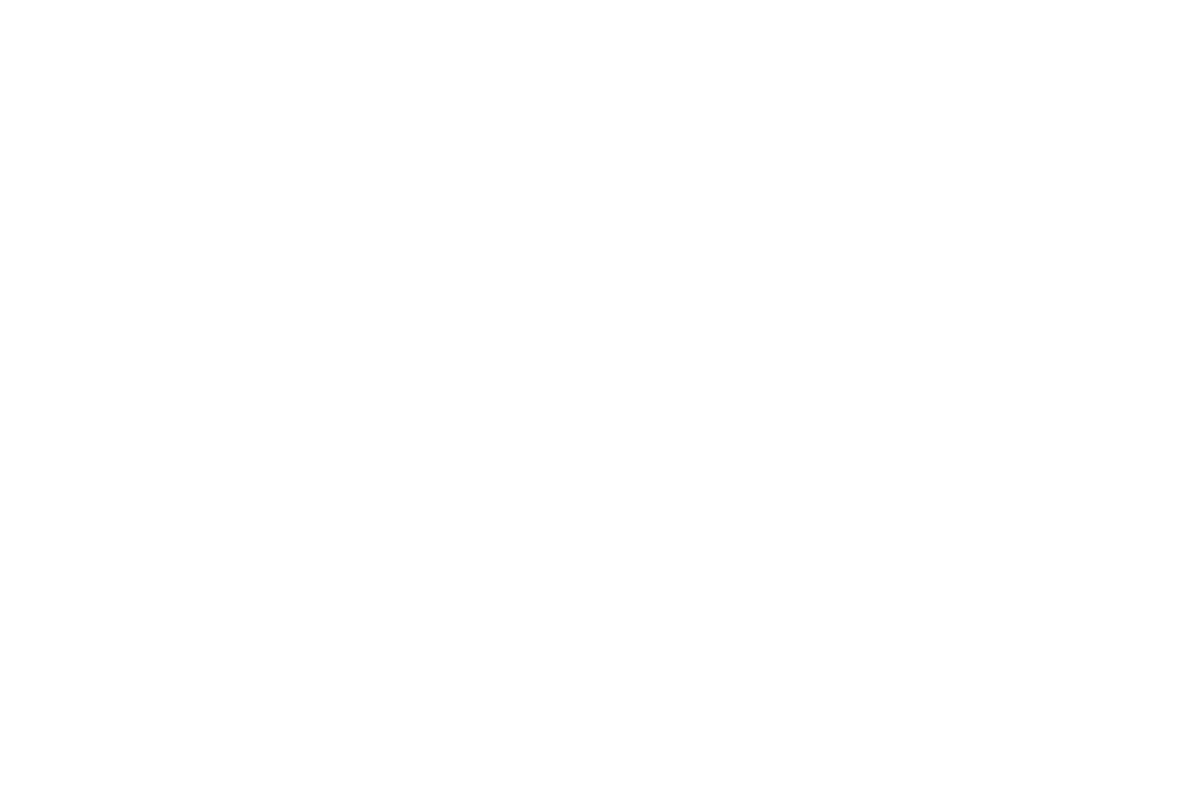 Fiin Summit 2026